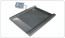 Drive-through scale KERN NFB